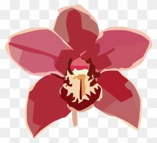 Clipart Red Orchid Flower - Png Download