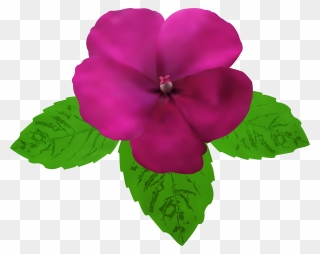 Magenta Flower Clipart Clip Art Royalty Free Download - Png Download