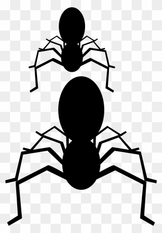 Spider Black And White Clip Art - Silhouette - Png Download