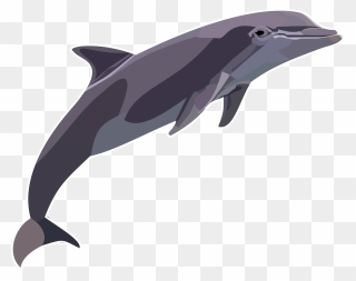 Wholphin Clipart