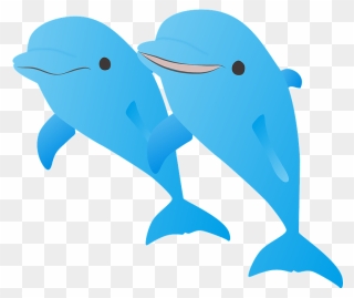 Dolphins Animal Clipart - 著作 権 フリー イルカ - Png Download