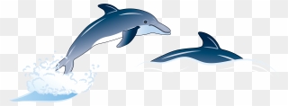 Porpoise Drawing Blue Dolphin Transparent Png Clipart - Dolphin Illustration Png