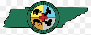 Middle Tennessee Wildlife Rescue - Wildlife Rescue Logos Clipart