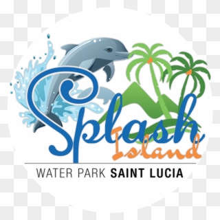 Clipart Park Water Park - Dolphin Clipart - Png Download