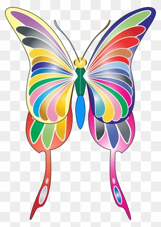 Colourful Butterfly Clipart - Butterflies - Png Download