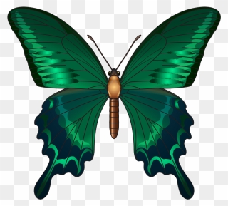 Butterfly Clip Art Green - Png Download