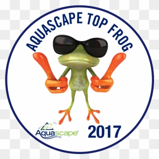 Aquascape Certified Waterpaw A - Funny Frog Clipart