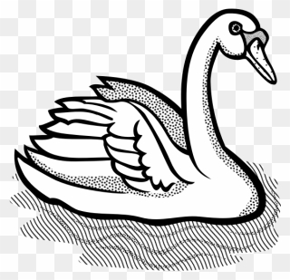 Swan With Part Spotty Feathers In Water Vector Image - Clipart Black And White Swan - Png Download