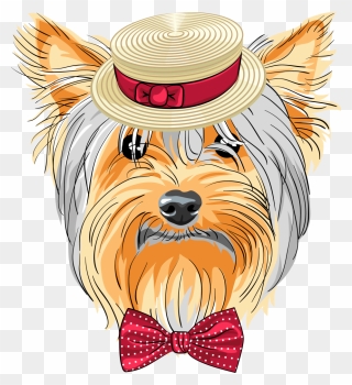 Puppy At Getdrawings Com - Yorkie Party Clipart - Png Download