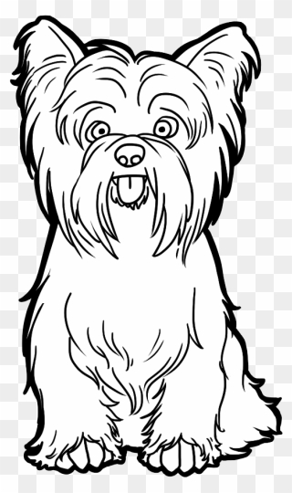 Dog Png Clipart - Yorkshire Terrier Drawing Easy Transparent Png