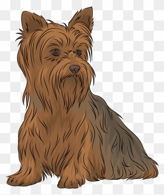 Terrier Clipart - Png Download