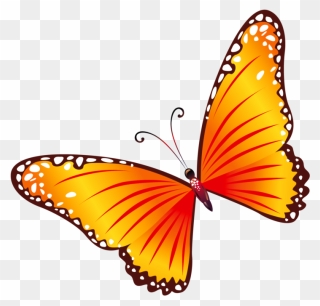 Butterfly Clipart Png Transparent