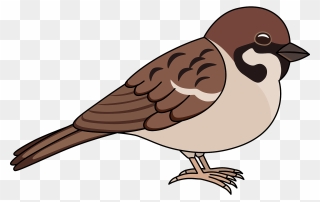 Clipart Sparrows - Png Download