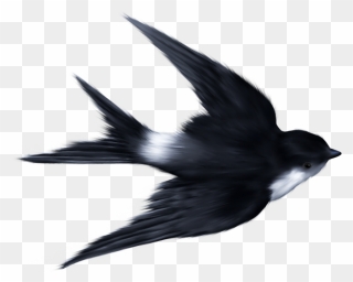Swallow Ukrainian Skycutter Bird Sparrow Clip Art - Swallow Flying - Png Download