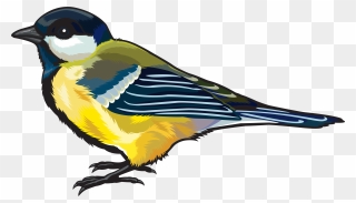 Free Bird Clipart Goldfinch - Bird Png Clipart Transparent Png
