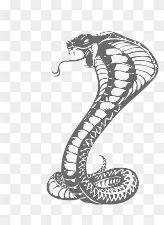 Download Cobras King Cobra Snakes Tattoo Snake Drawing - Khon Kaen United F.c. Clipart