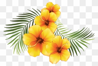 #flower #flowers #orang #caribbean #summer #beach #love - Plumeria Flowers Clip Art - Png Download