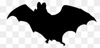 Transparent Cute Vampire Clipart - Bat Silhouette Png