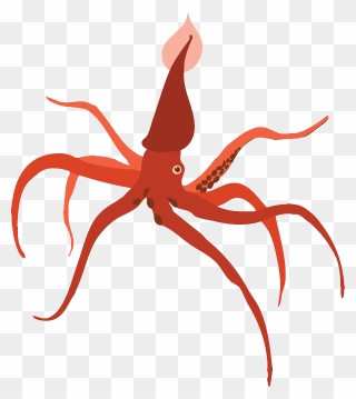Squid Png - Кальмар Png Clipart