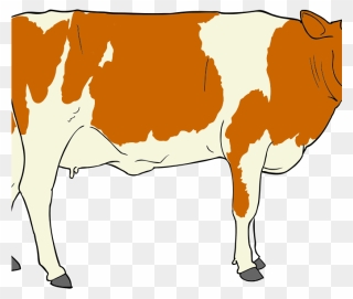 Png Transparent Library Beef Cow Clipart - Domestic Animals And Their Homes
