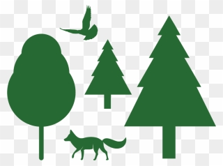 Healthy Forests & Wildlife Graphic - Christmas Tree Clipart