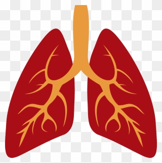 Lungs Png - Human Lung Lung Icon Clipart