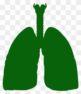 Chica Pulmones Icono Png Clipart