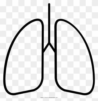 Lungs Coloring Page - Lung Drawing Clipart