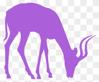 Antelope Silhouette Clipart