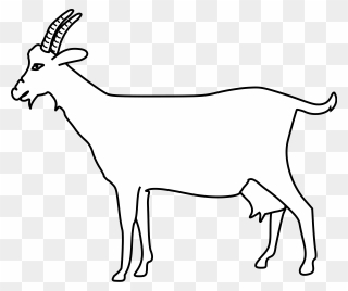 Outline Goat Clipart - Png Download