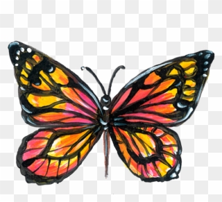 Monarch Butterfly Clipart