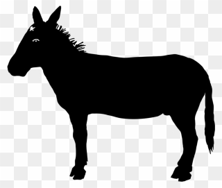 Mare,horse,pony - Reasons To Vote For Democrats Clipart