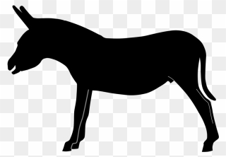 Donkey,pony,livestock - Ane Silhouette Png Clipart