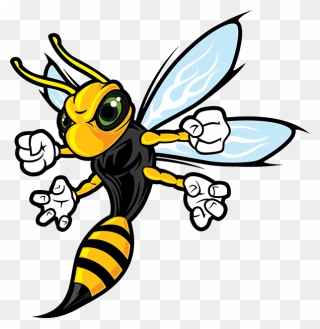 Hornet Mascot Png - Cartoon Hornet Clipart