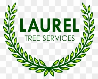 Laurel Tree Services - Success Academy Logo Png Clipart