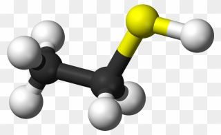 Ball And Stick Model Of The Ethanethiol Molecule - Ethyl Mercaptan Clipart