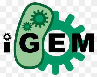 Http - //2015 - Igem - Org/file - Technion Hs Israel - International Genetically Engineered Machine Clipart