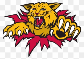 Wild Cat Clipart - Moncton Wildcats Logo - Png Download