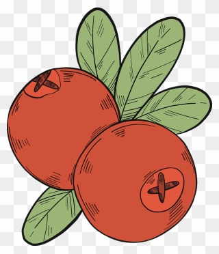 Two Cranberries Clipart - Berry - Png Download