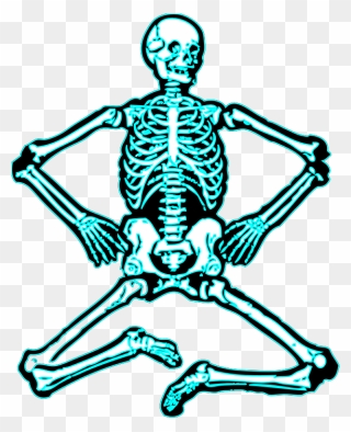 Human Skeleton Clipart - Png Download