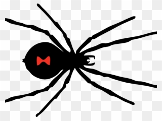 Black Widow Spider Png Clipart