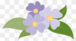 Violet Clipart Flowering Plant - Moms Birthday Card Funny - Png Download