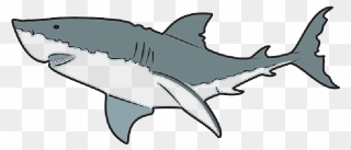 White, Color, Great, Ocean, Shark, Predator - Greatwhite Shark Outline Clipart