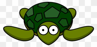 Cartoon Turtle Clipart - Turtle Cartoon Transparent Background - Png Download