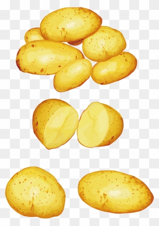Potatoes Png Clipart - Potato Verdura Dibujo Transparent Png