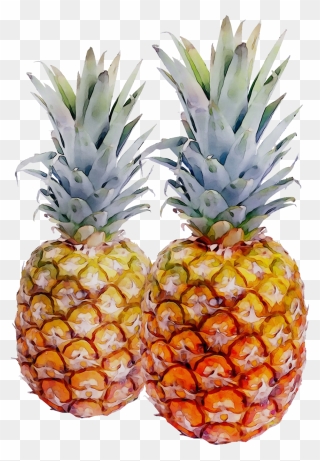 Portable Network Graphics Pineapple Transparency Image - Pineapples Png Transparent Clipart