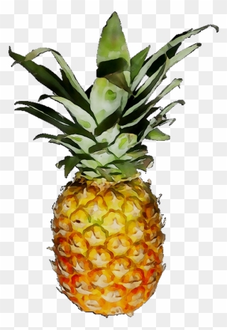 Png Download - Pineapple Clipart