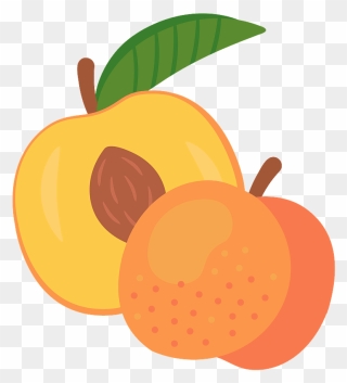 Peach Clipart - Png Download