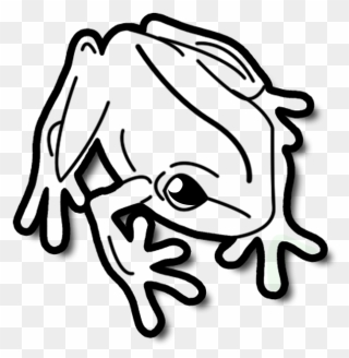 Frog Tropical Small Nature Ju - Clipart Black And White Picture Of Animals - Png Download