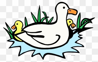 Transparent Ducks Clipart Images - Clipart For Duck - Png Download